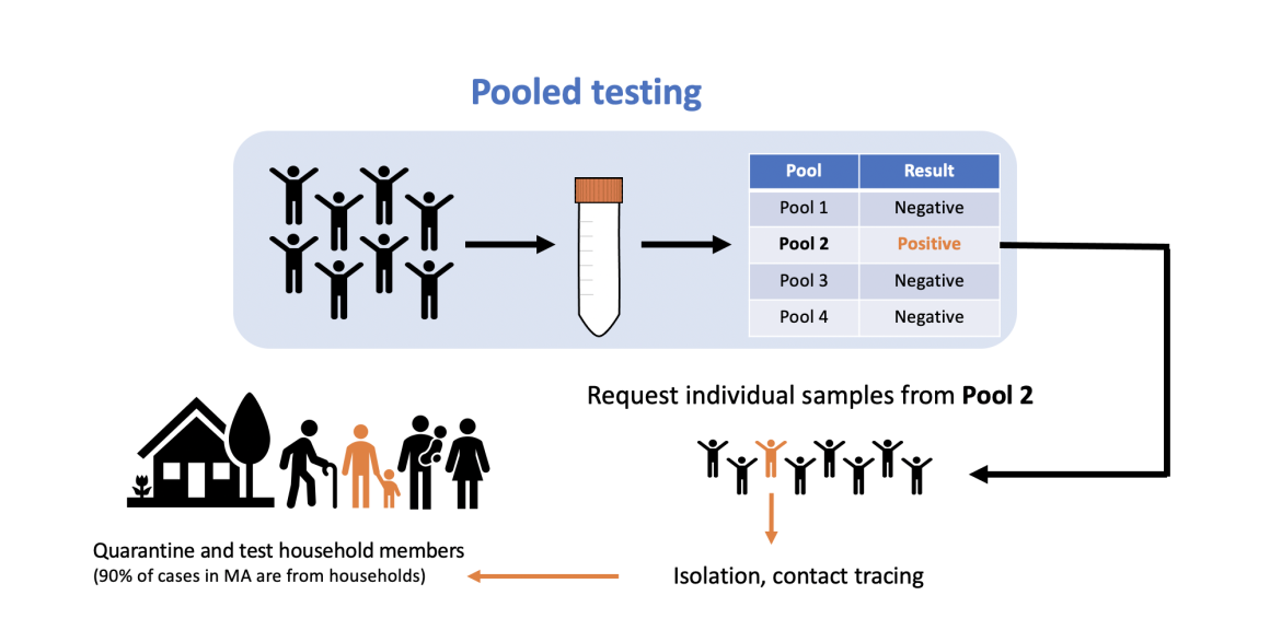 An infographic detailing the process of Covid Pooled testing in the Tufts Community