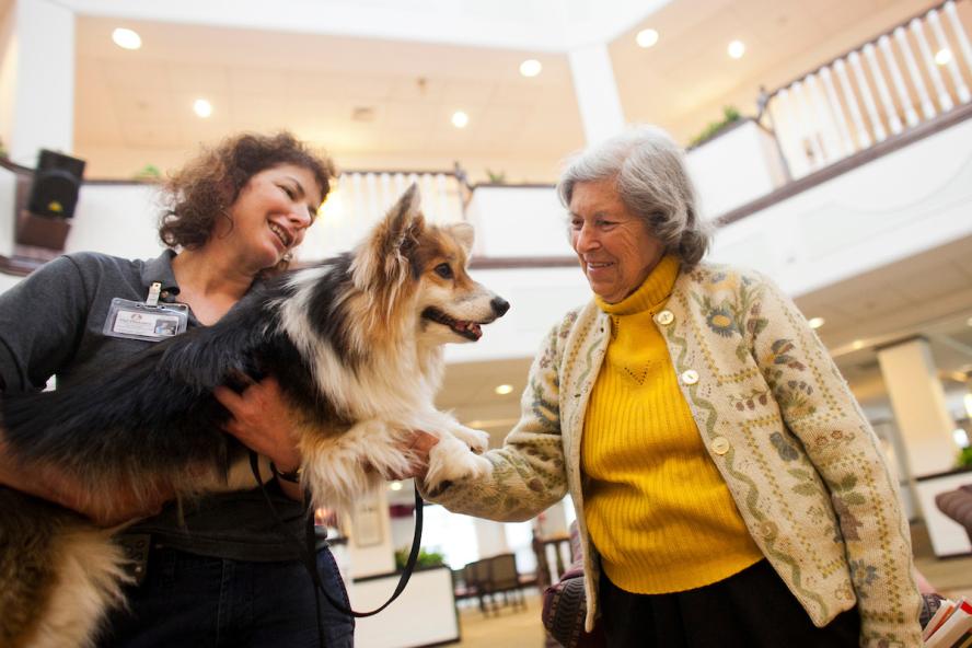 Ida Sawosta plays with Penny, as Tufts veterinarians Lisa Freeman (curly hair) and Deb Gibbs bring Penny, a fluffy Corgi, and Boo, a Shi Tzu, to visit residents at the New Horizon's Assisted Living Community. 