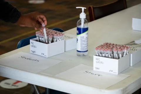 A hand putting a clear vial with a swab in it into a box with other vials. Tufts launches a new COVID-19 pooled-testing program with Medford and Somerville K-12 schools