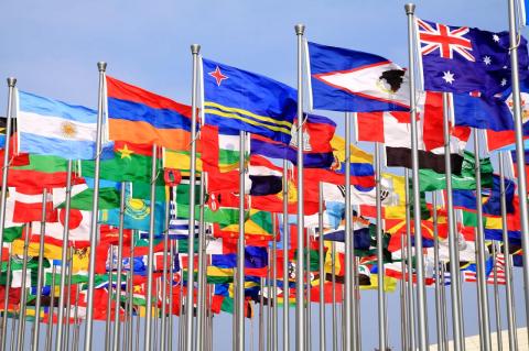 A large cluster of many nations’ flags fly on flagpoles close together