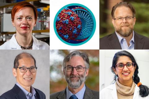 Six-image collage showing five portrait photos surrounding a central circular illustration of a virus, representing infection and immunity research.